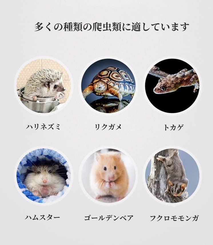 Amazon | モモンガ ケージ フクロモモンガ ケージ 天窓付き 専用ケージ